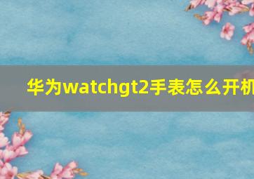 华为watchgt2手表怎么开机