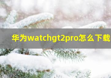 华为watchgt2pro怎么下载歌