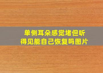 单侧耳朵感觉堵但听得见能自己恢复吗图片