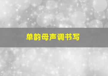 单韵母声调书写