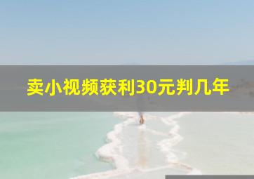 卖小视频获利30元判几年