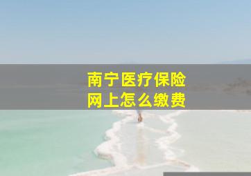 南宁医疗保险网上怎么缴费