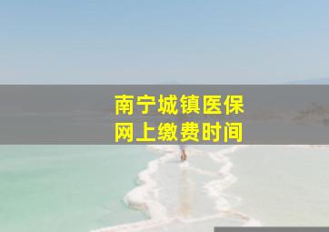 南宁城镇医保网上缴费时间