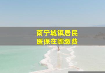 南宁城镇居民医保在哪缴费