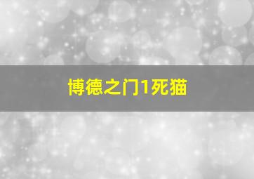 博德之门1死猫