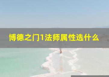 博德之门1法师属性选什么