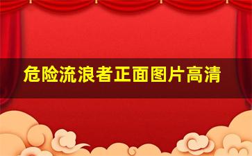 危险流浪者正面图片高清