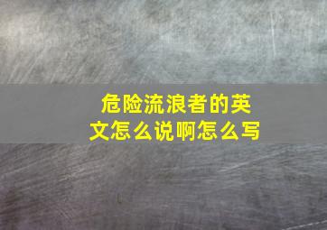 危险流浪者的英文怎么说啊怎么写