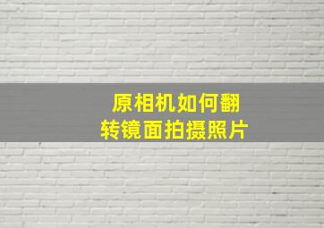 原相机如何翻转镜面拍摄照片