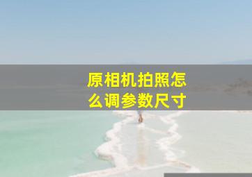 原相机拍照怎么调参数尺寸