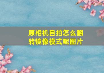 原相机自拍怎么翻转镜像模式呢图片