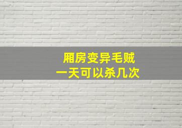 厢房变异毛贼一天可以杀几次