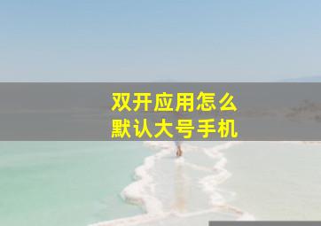 双开应用怎么默认大号手机