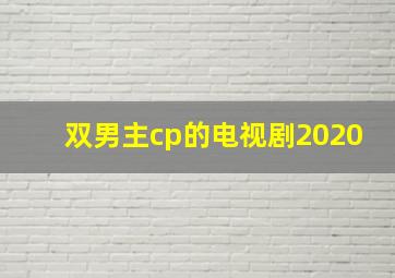 双男主cp的电视剧2020