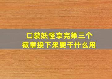 口袋妖怪拿完第三个徽章接下来要干什么用