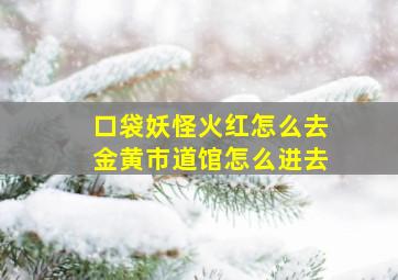 口袋妖怪火红怎么去金黄市道馆怎么进去