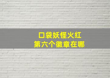 口袋妖怪火红第六个徽章在哪