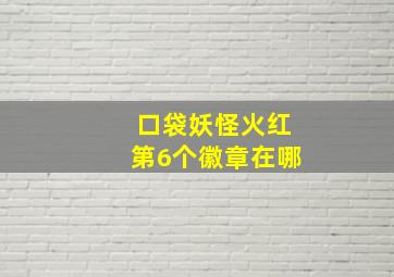 口袋妖怪火红第6个徽章在哪