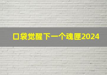 口袋觉醒下一个魂匣2024