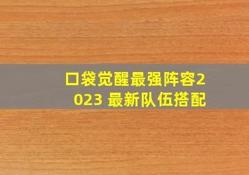 口袋觉醒最强阵容2023 最新队伍搭配