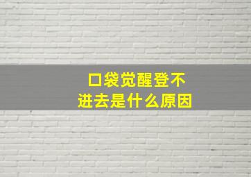 口袋觉醒登不进去是什么原因