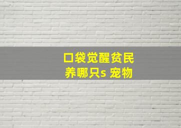 口袋觉醒贫民养哪只s+宠物