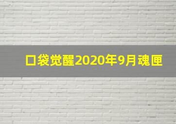 口袋觉醒2020年9月魂匣