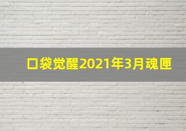 口袋觉醒2021年3月魂匣