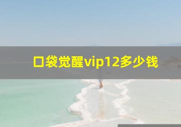 口袋觉醒vip12多少钱