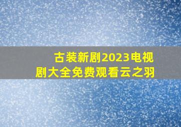 古装新剧2023电视剧大全免费观看云之羽