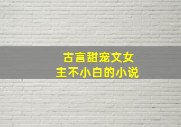 古言甜宠文女主不小白的小说