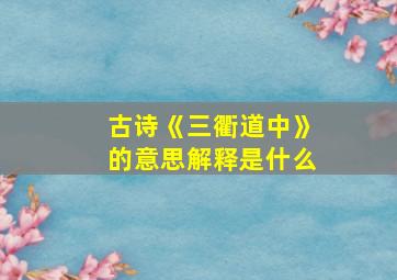 古诗《三衢道中》的意思解释是什么