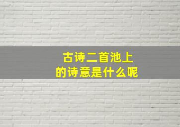 古诗二首池上的诗意是什么呢