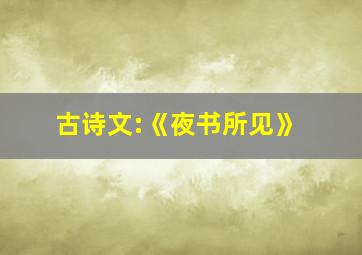 古诗文:《夜书所见》