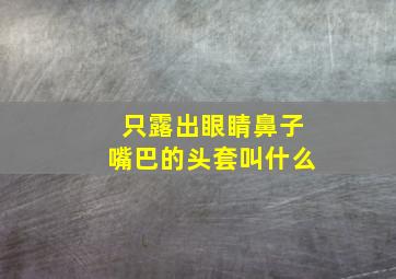 只露出眼睛鼻子嘴巴的头套叫什么