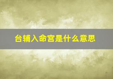 台辅入命宫是什么意思