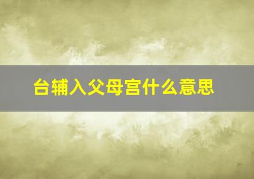 台辅入父母宫什么意思