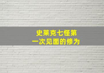 史莱克七怪第一次见面的修为