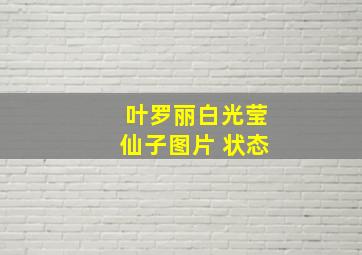 叶罗丽白光莹仙子图片 状态