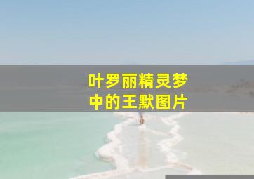 叶罗丽精灵梦中的王默图片