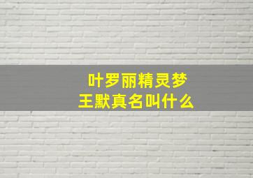 叶罗丽精灵梦王默真名叫什么