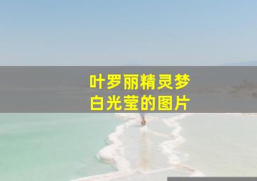 叶罗丽精灵梦白光莹的图片