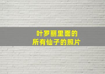 叶罗丽里面的所有仙子的照片