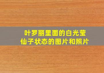 叶罗丽里面的白光莹仙子状态的图片和照片