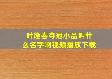 叶逢春夺冠小品叫什么名字啊视频播放下载