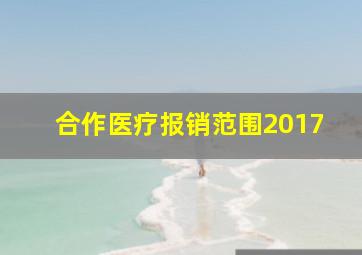 合作医疗报销范围2017