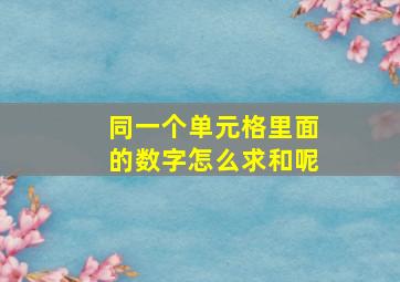 同一个单元格里面的数字怎么求和呢