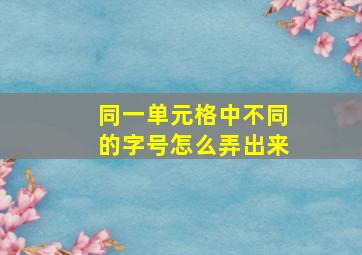 同一单元格中不同的字号怎么弄出来