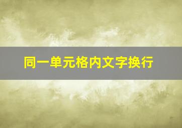 同一单元格内文字换行