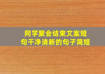 同学聚会结束文案短句干净清新的句子简短